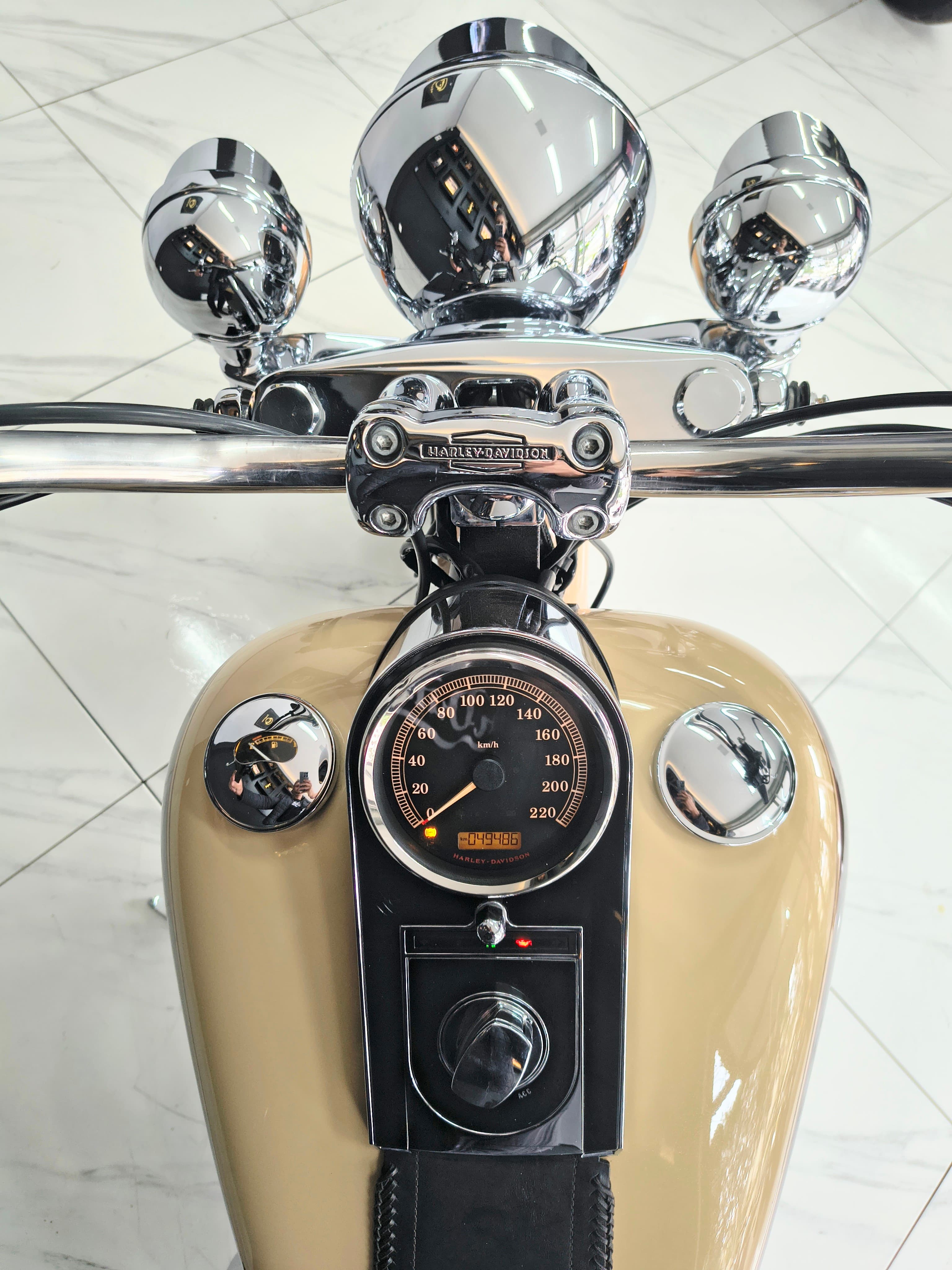 Harley Davidson  Softail Deluxe FLSTN  5