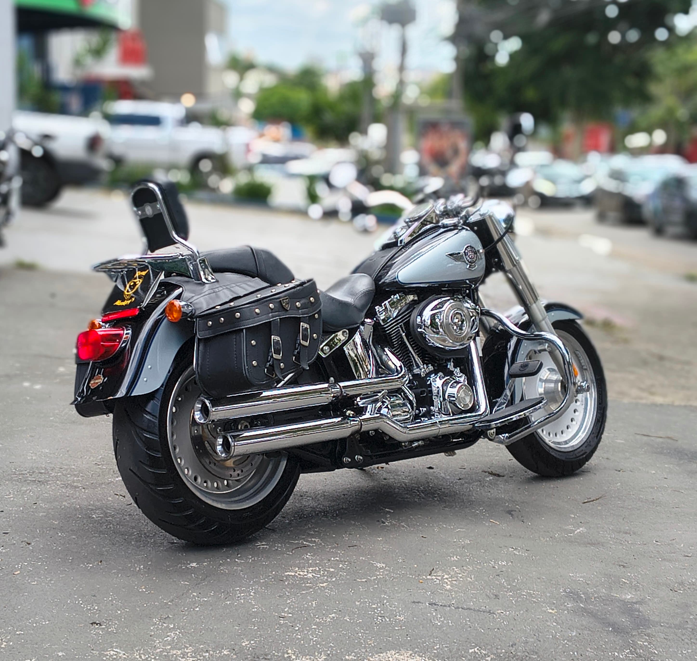 Harley Davidson  Fat Boy FLSTF  5