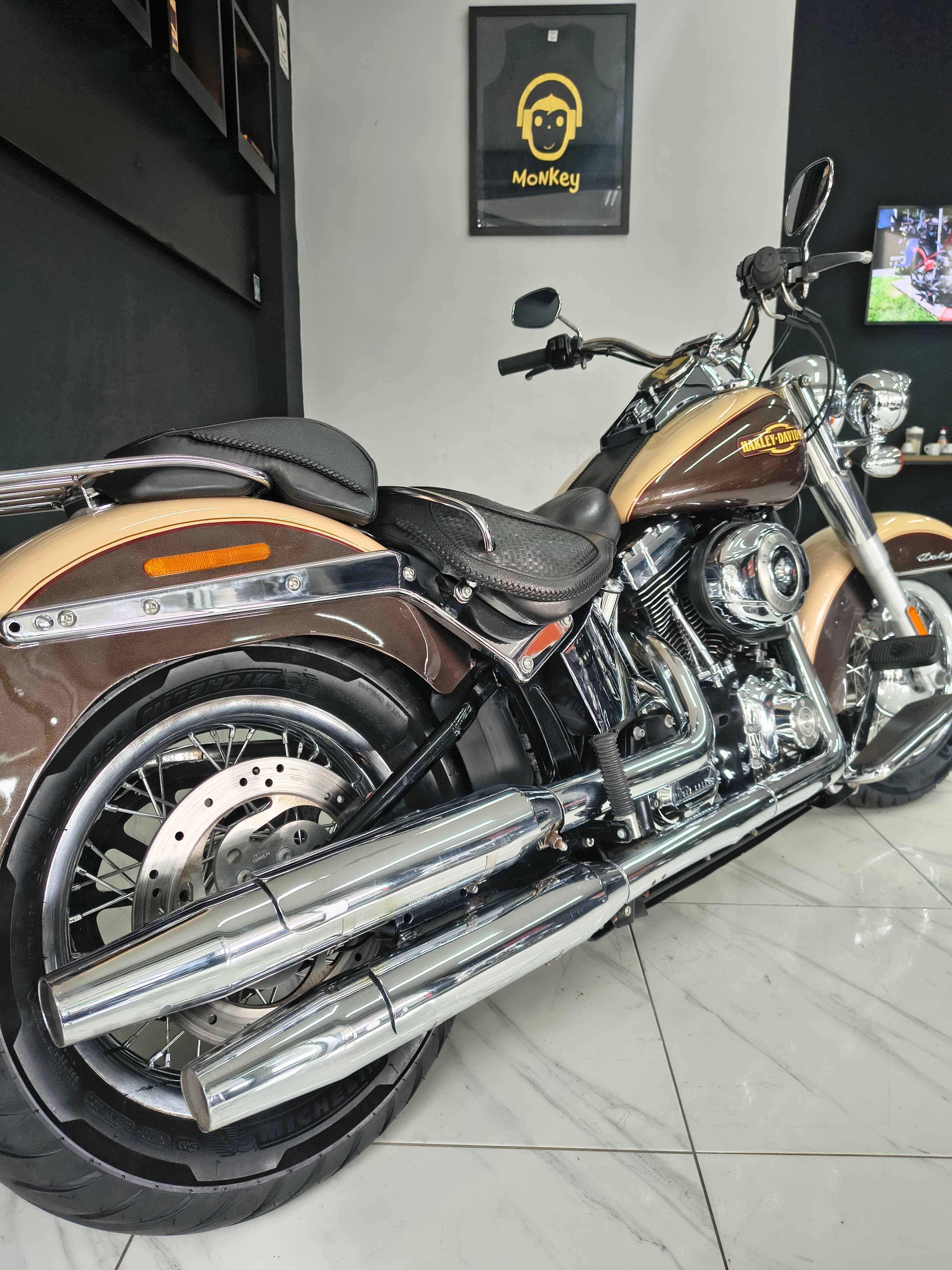 Harley Davidson  Softail Deluxe FLSTN  6